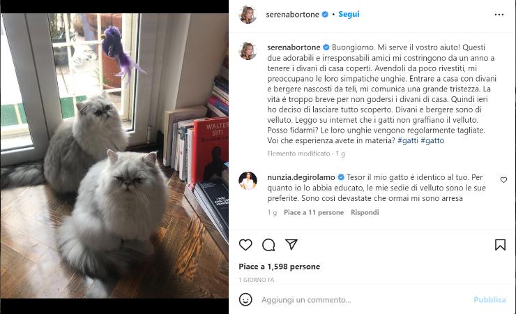 Serena Bortone e l'appello ai fan - Political24