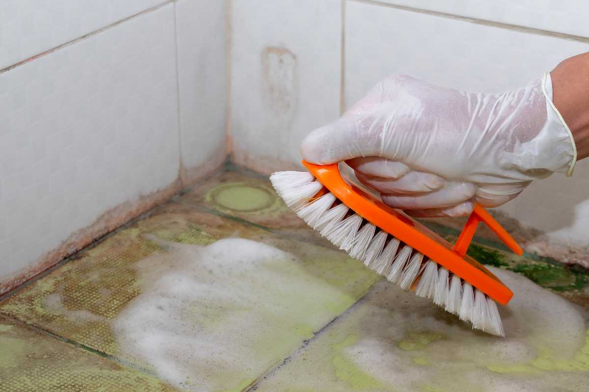 Come eliminare per sempre la muffa in bagno 
