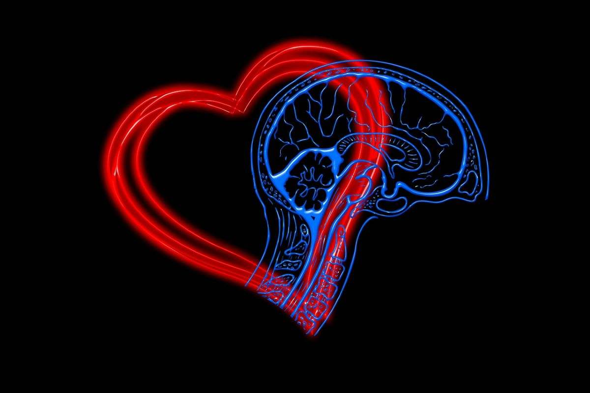 intelligenze emotiva segnali