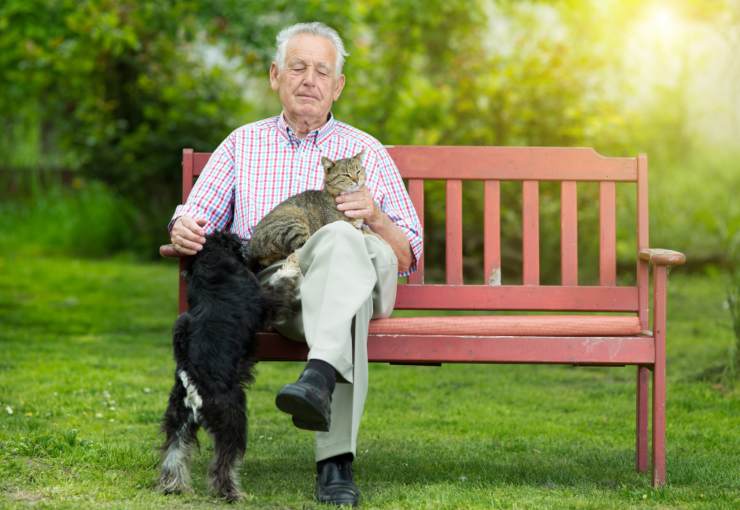Gli animali da compagnia cone soluzione per gli anziani malati