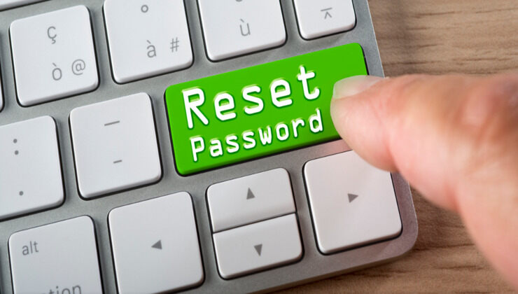 reset password